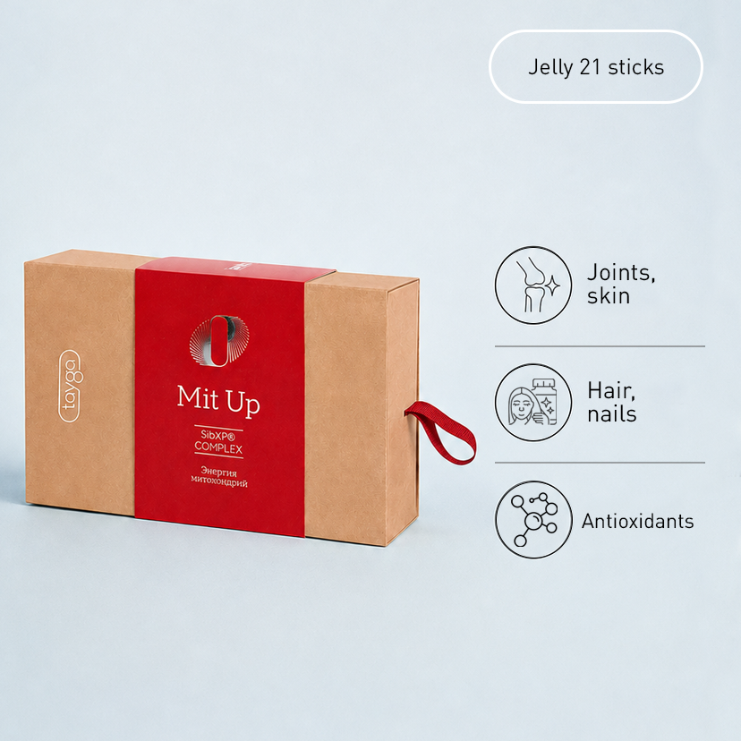Vilavi - T8 ERA MIT UP